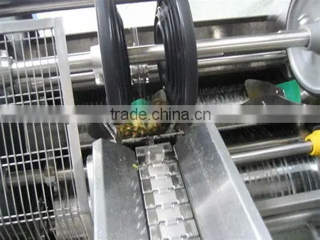 Mango pineapple processing line