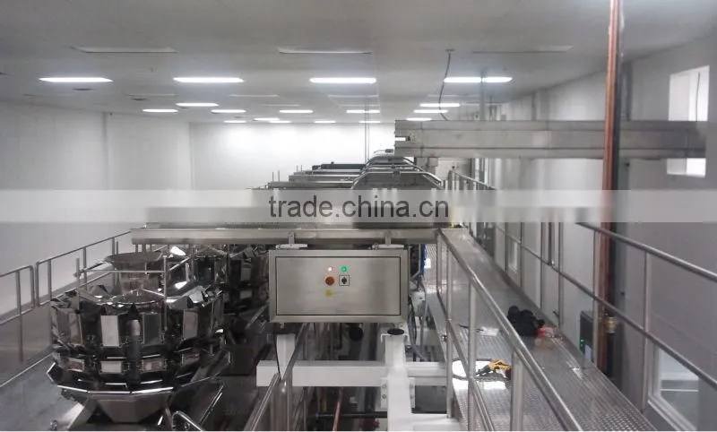 Fast back horizontal motion conveyor design for potato chips conveying