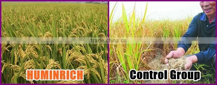 Huminrich Shenyang SH9002-5 Insoluble Humic Acid Granular Form For Rice