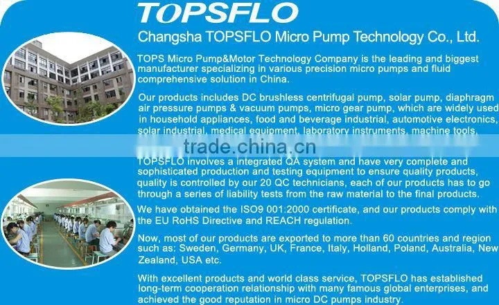 DC Brushless Diaphragm 6v 12v 24v RF Beauty device vacuum SIP and cold spray Pump