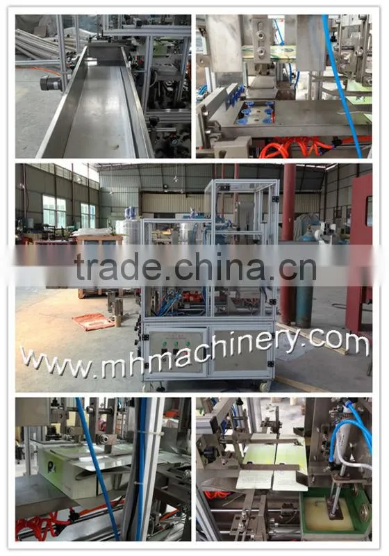 offer Automatic Facail Tissue Carton Box Packing Machine (MH-200)