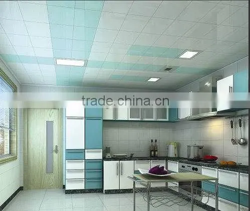 PVC ceiling/pvc panel (RPV113-5)