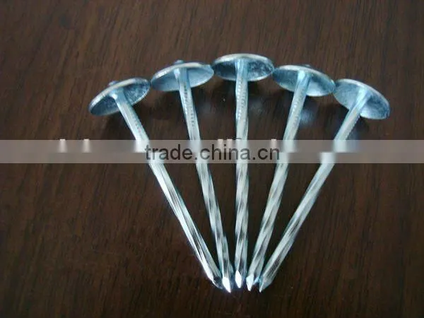 Twist shank roofing nails