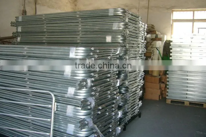 Stables for cattle barrier in galvanized for cattle