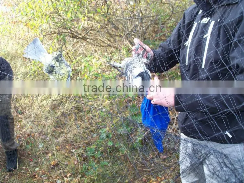 nylon bird net, bird trapping net for catching net