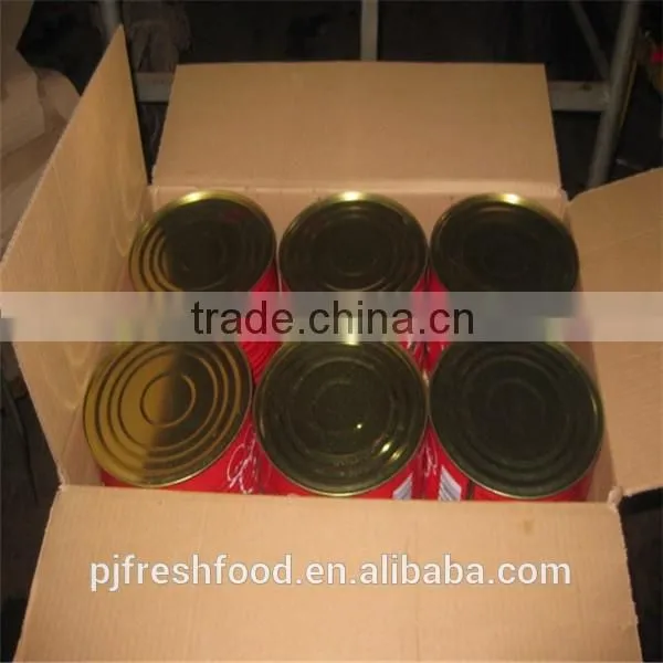 Canned Tomato Paste