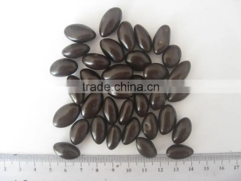 Wholesale Chocolate Coated Raisin