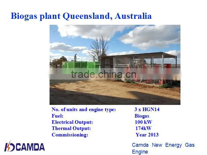 biogas generator 24KW for sale/ biogas genset 30KVA/biomass generator 60Hz