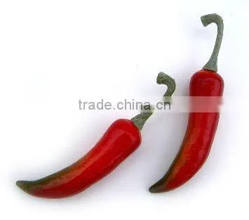 REALISTIC LOOKING & FEELING green yellow pepper Artificial fruits and vegetables