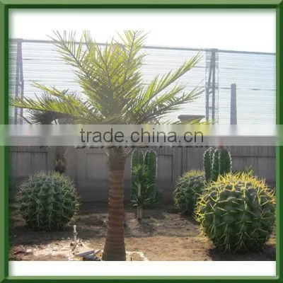 Best quality artificial palm tree leaves