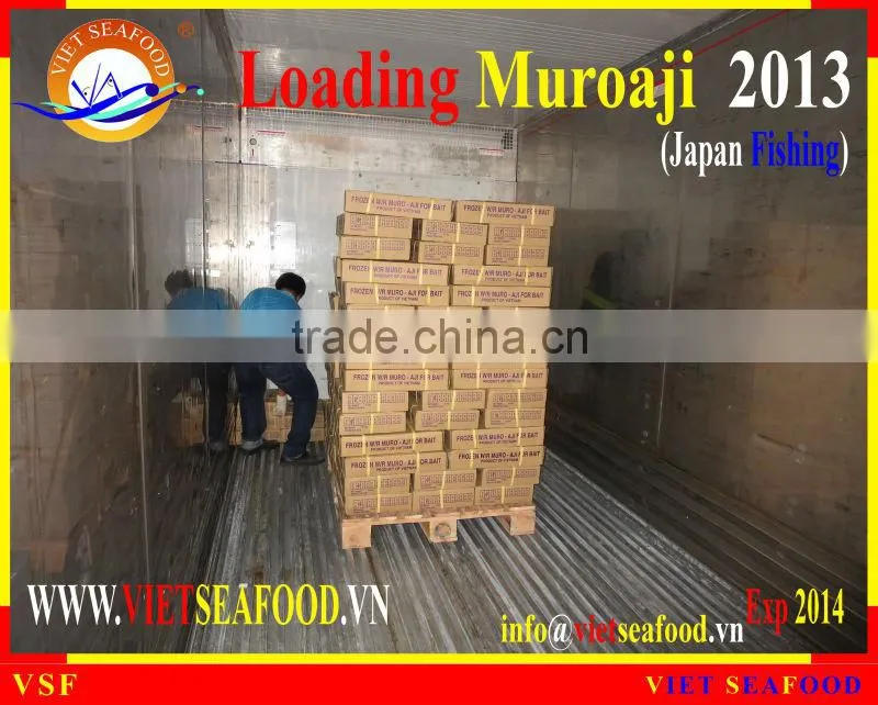 LOADING MUROAJI FOR TUNA BAIT