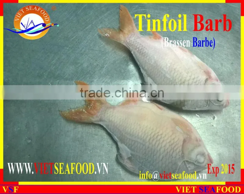 FROZEN W/R RED TAIL TINFOIL BARB