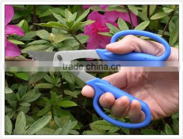 Scissors