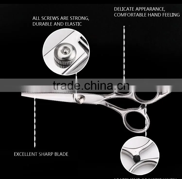 Hot Selling Promotional Hair Scissors Set, 6 inch Hair Cutting and Thinning Shears