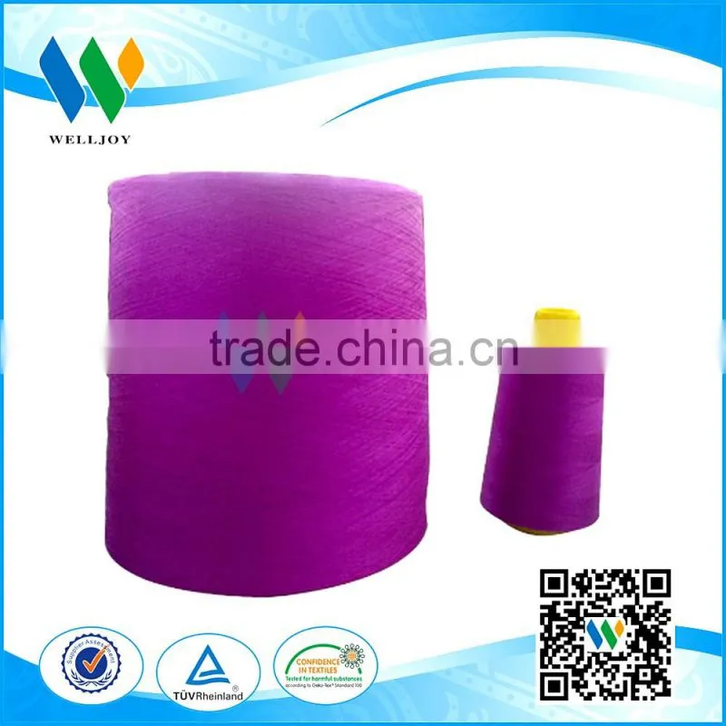 WellJoy mutiple color plastic cone beatiful look rayon embroidery thread