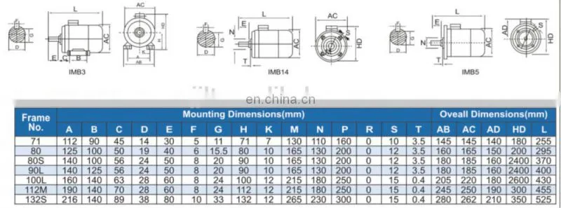 220V 3HP single phase electric motor