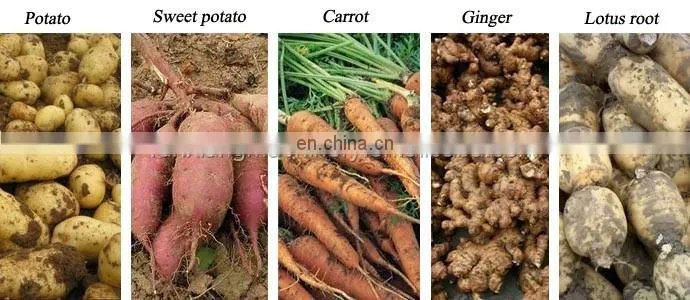 China hot selling sweet potato washing machine/ sweet potato cleaning machine/ industrial sweet potato washer