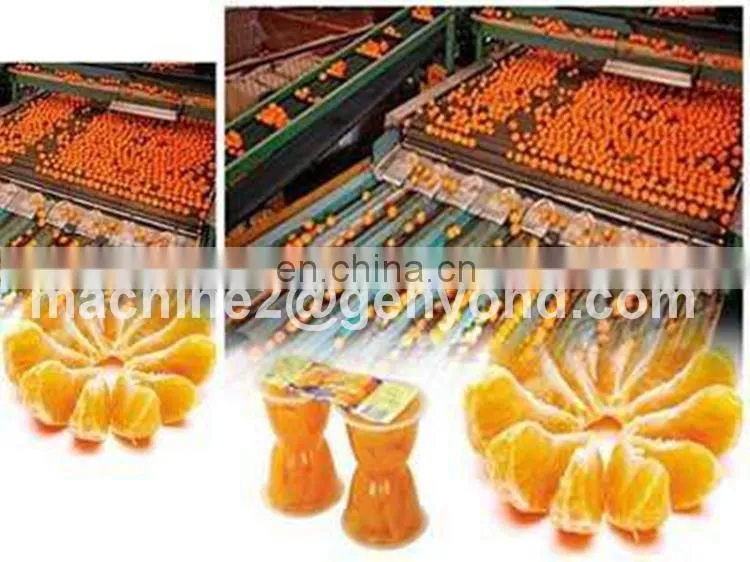 20% cut off fruit jam production line gold supplier