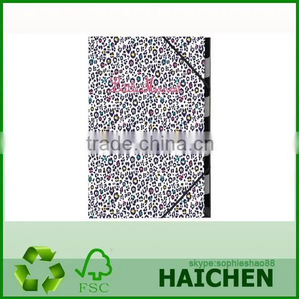 Polypropylene 8 Compartments A4 Multipart File Folder with Flaps and Elastic Straps
