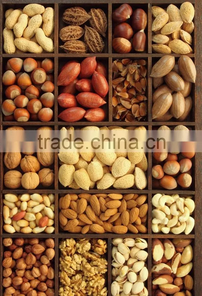 Hot and cold oil press machine suitable for a variety of raw materials