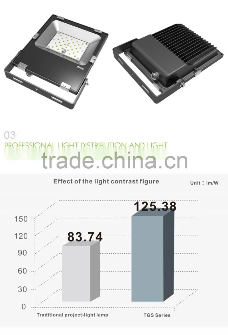 Promotional Price Meanwell Driver Free Lighting Design Shenzhen Factory 2016 CE Rohs Approved 30W LED Floodlight