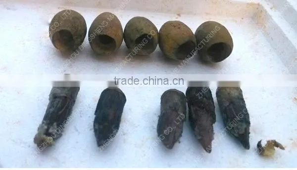 High pitting rate longan fruit pitter machine