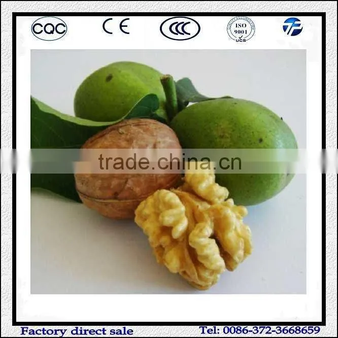 Commercial Green Walnut Peeling|Peeler Machine