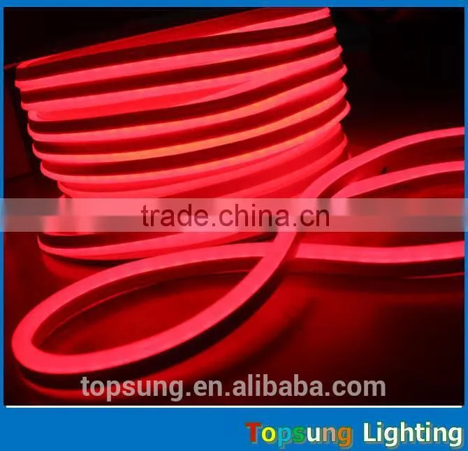 waterproof IP65 12v/24v led neon light with indoor and outdoor use