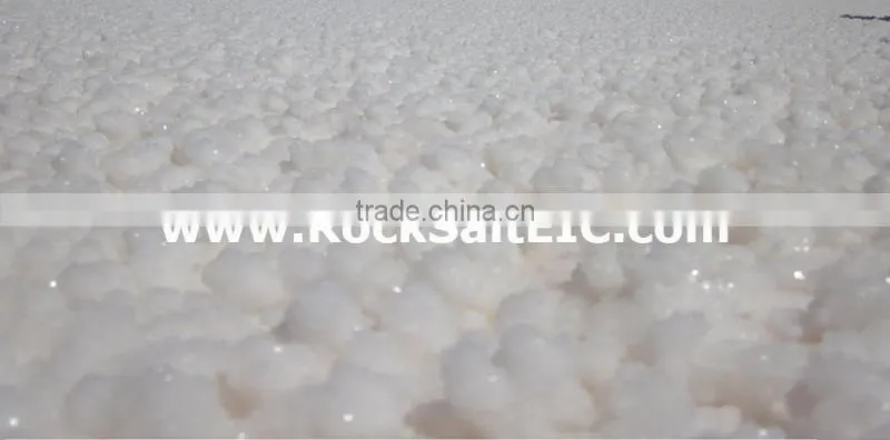 Sodium Chloride 98-99% NaCl for Winter maintenance in Bulk - white color with no impurity - SGS analysis