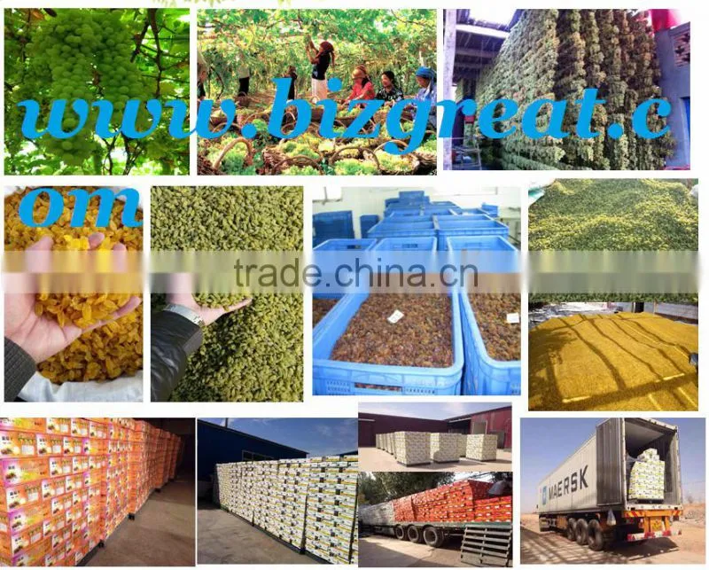High Quality Dried Brown Sultana Raisin on sale