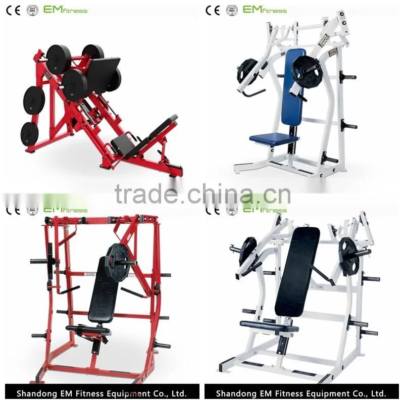 life fitness equipment Roman chair back extension