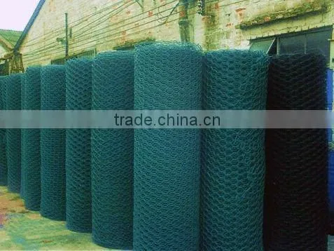 galvanized pvc coated bird/chicken cage wire mesh/netting with high quality low price