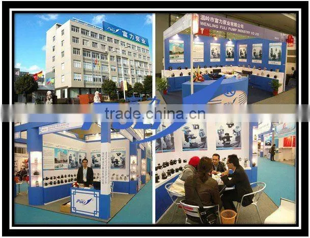 QUALITY DAF/ZF7673 955 217/526663/624702/1291227/1239411/7672 955 287/7674 955 207/7673 955 227/7673 955 217 Power Steering Pump