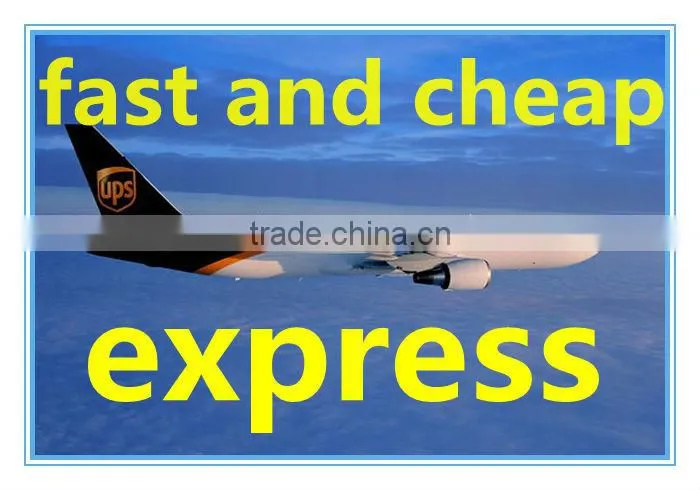 Express services /Courier to Darwin