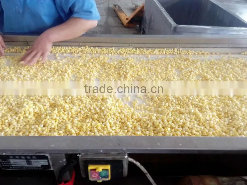 canned sweet corn