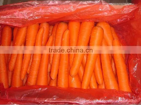 Fresh Red Carrot of 100g-150g-200g