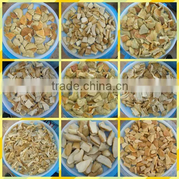 bolete,buy boletus edulis mushroom
