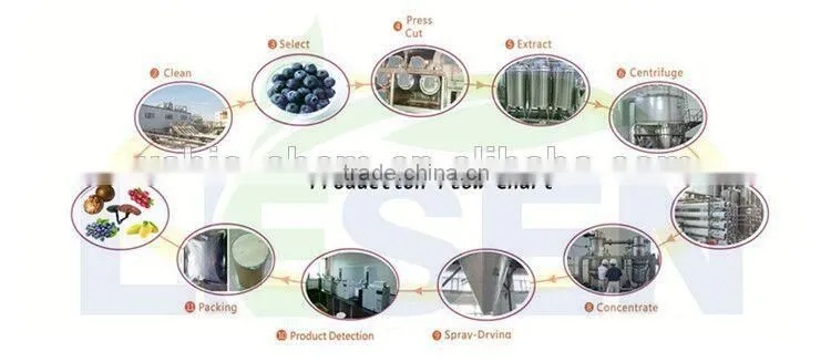 Acai berry Extract Powder/Acai berry Powder/Euterpe oleracea Powder