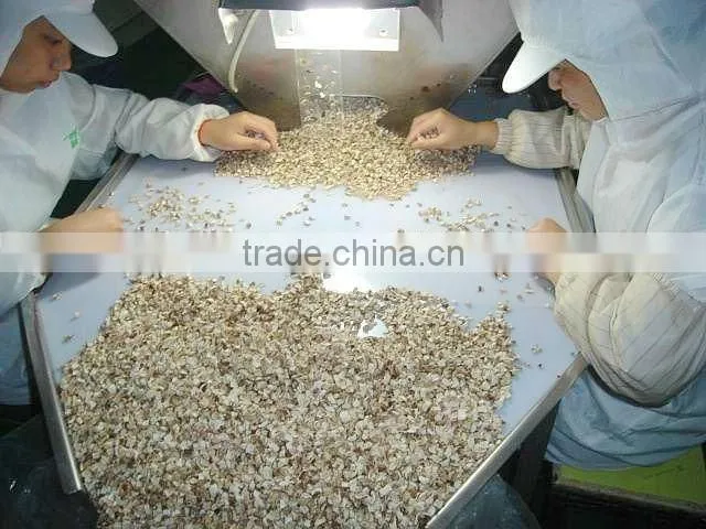 Onion products onion powder dehydrated onion