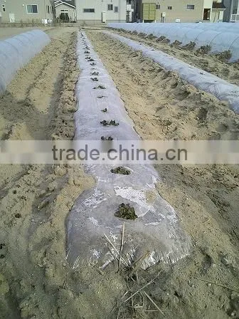 PE Transparent agriculture plastic Film perforated or not