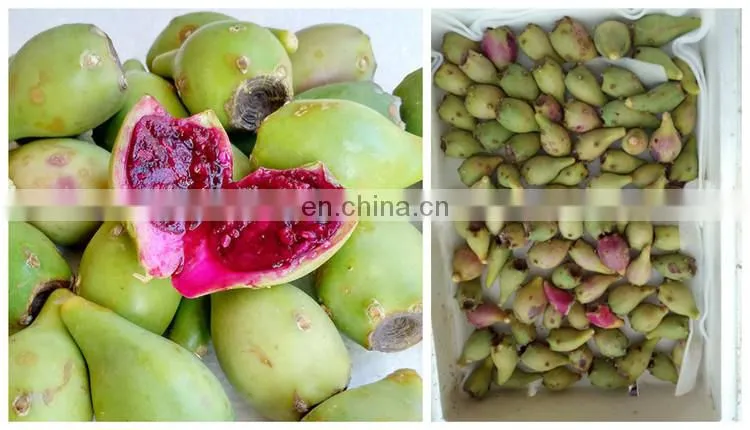 Factory high efficiency Tomato paste ketchup production plant Chill sauce making machine Fruit prickly pear jam processing line