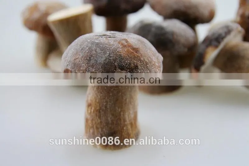 Factory Supply High Quality and Good Price Organic Dried Black Fungus Mushroom