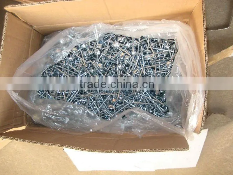 Galvanized corrugated Roofing Nails with umbrella head