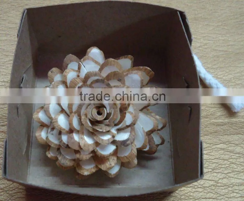 Sola chilka rose flowers