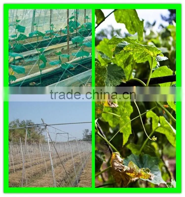 uv coated garden plastic mesh tomato climbing net