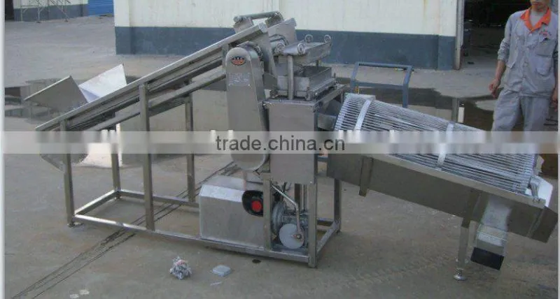 stainless steel fruit/peach dicing machine