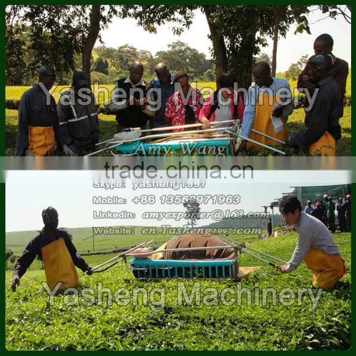 High Quality Tea Harvesting Machinery for Sale