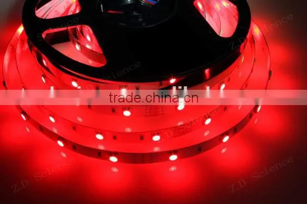 High Quality Cool White LED Ribbon in 5050 36W 5 meter