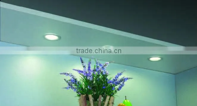 Recessed Halogen Down Light