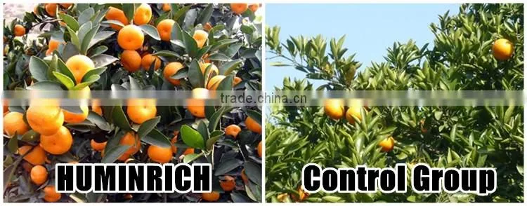 Huminrich High Active Grow Nutrients For Plants Bulk Liquid Fertilizers